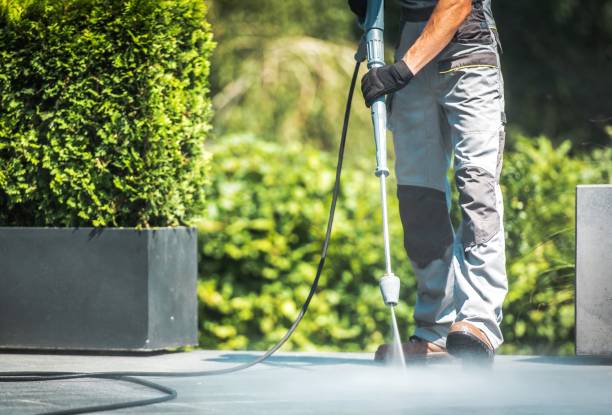 Best Driveway Pressure Washing  in Reedsville, WI